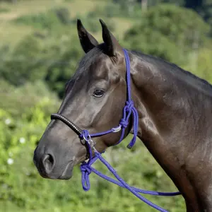 Cabestro de cuerda anudada con riendas para caballos USG image-2
