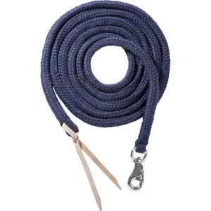 Longe für Bodenarbeit Reiten mit Karabinerhaken USG image-0