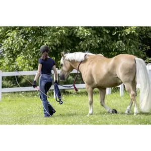 Cravache équitation pour les exercices au sol USG image-2
