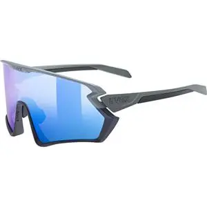 Sunglasses Uvex 231 2.0 image-0