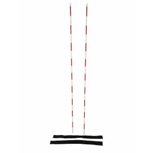 Volleyball antenna PowerShot image-0