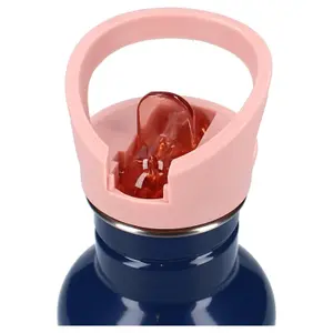 Children's bottle Vadobag Frozen II Take A Sip image-2