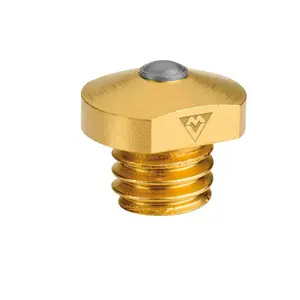 vaimx24-steigeisen-zum-anschrauben-wolfram-michel-vaillant-goldene