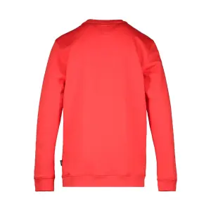 Sweatshirt Vans Digi Flames image-1