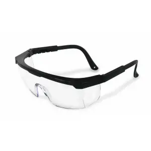 Eyeglass lens protector Var