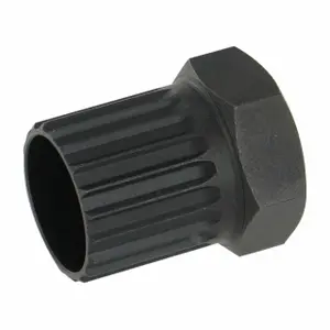 Kassettenfreilauf Var Regina Zeus Atom