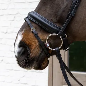 Mors recto para caballo con anillos sueltos Velari hard image-4