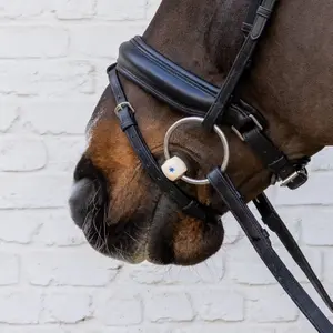 Mors Δεξί για καθαρόαιμο με ελεύθερους δακτυλίους Velari soft image-4