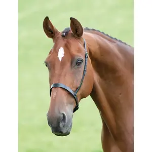 Cavesson for horse Velociti Gara image-0