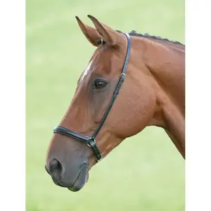 Reithalfter Pferd Velociti Gara Drop image-0
