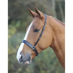 Kappzaum für Pferde Velociti Gara Hunter image-0