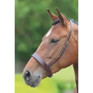 Muserolle cavesson pour cheval Velociti Gara Hunter image-0