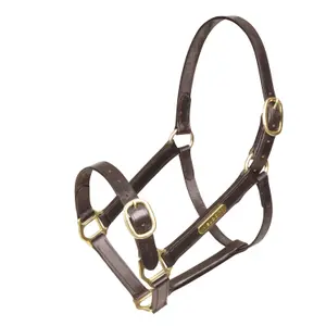 Bite completamente regolabile in cuoio per cavallo Velociti Gara