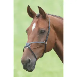Kreuzgeschirr für mexikanisches Pferd Velociti Gara image-0