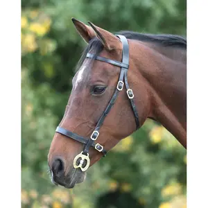 Einfarbige Reitgerte Velociti Gara Inhand image-0