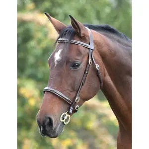 Zaumzeug Reiten Velociti Gara Fancy Stitched Inhand image-0