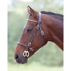 Zaumzeug Reiten Velociti Gara Clincher Inhand image-0