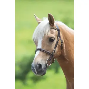 Zaumzeug Reiten Velociti Gara Clincher Inhand image-1