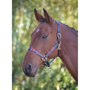 Bocca per cavallo in cuoio Velociti Gara image-1