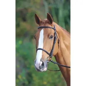 Redine cavesson rialzato equitazione Velociti Gara