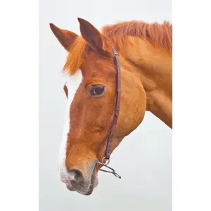 Kopfstück Reiten Velociti Gara Chifney image-0