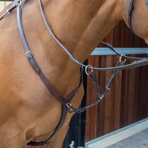 Martingale for horse Velociti Lusso image-0