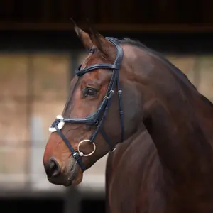 Crossed noseband bridle Velociti Lusso Elite