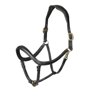 Bogenförmiger Lederhalfter für Pferde Velociti Rapida image-0