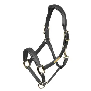 Leather halter for horses Velociti Rapida Comfort image-0