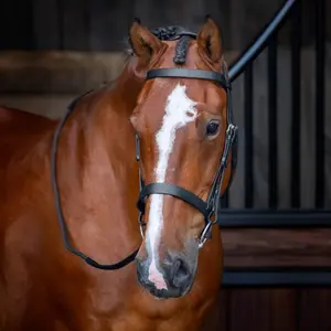 Riding bridle Velociti Rapida Hunter image-1