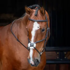 Padded crossover horse riding bridle Velociti Rapida image-1