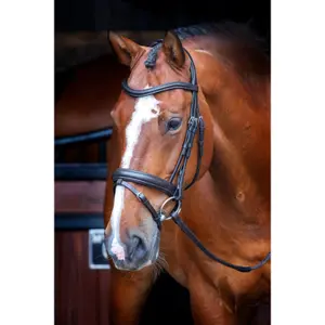Cabeçada de dressage flash para equitação com ajuste Velociti Rapida image-1