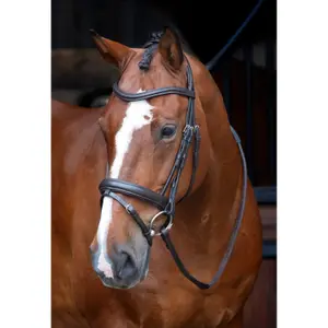Flashdressuurhalsband met aanspanning Velociti Rapida image-1