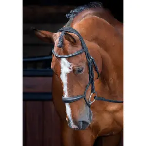 Cavesson de noiva acolchoado rolado para equitação Velociti Rapida image-1