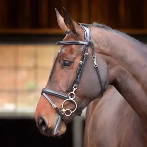 Riding bridle Velociti Rapida