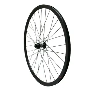 Wheel gravel avant moyeu roulement cassette axe traversant jante rayons acier Velox 700 P2R Disc Centerlock Tubeless Ready 12-142 19C 32