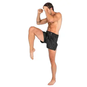 Thai-Boxing-Shorts Venum Classic image-2