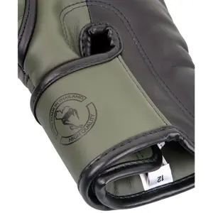 Gants de boxe Venum Elite image-4