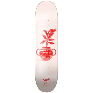 ver-vas-ros-wat8-skateboard-verb-vase-series-rosenwasser-8