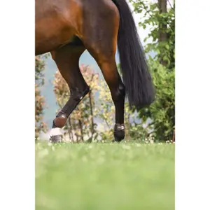 Hind leg boots for horses Veredus TR Pro image-3