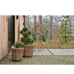 Rotan plantenmand Villa Collection Vida (x2) image-6