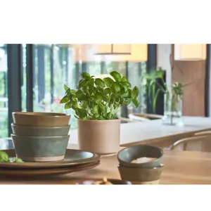 Vaso per fiori Villa Collection Leer image-6