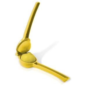 fik-016-lemon-squeezer-vin-bouquet-yellow-green-one-size