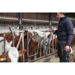 Kopfheber für Rinder Vink image-2