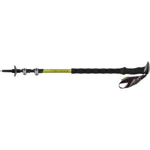 Ski poles Vipole 8000 DLX