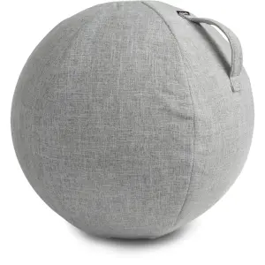 Housse de protection pour ballon de fitness VirtuFit image-0
