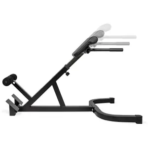 Sedia romana VirtuFit Hyperextension Pro image-1
