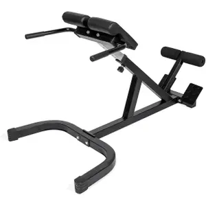 Sedia romana VirtuFit Hyperextension Pro image-3