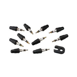 Válvula Vittoria Mechanism Cores (10pcs+span) image-0