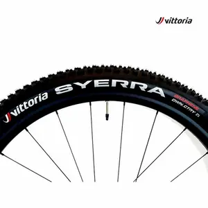 PneuFALSE Vittoria VTT Syerra G2 image-1
